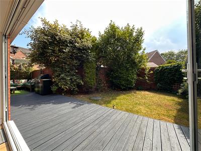 Picture 23
